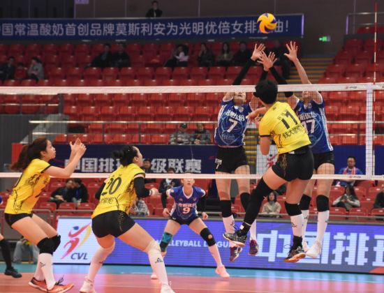 11.14上海3-0福建 11.14上海3-0福建