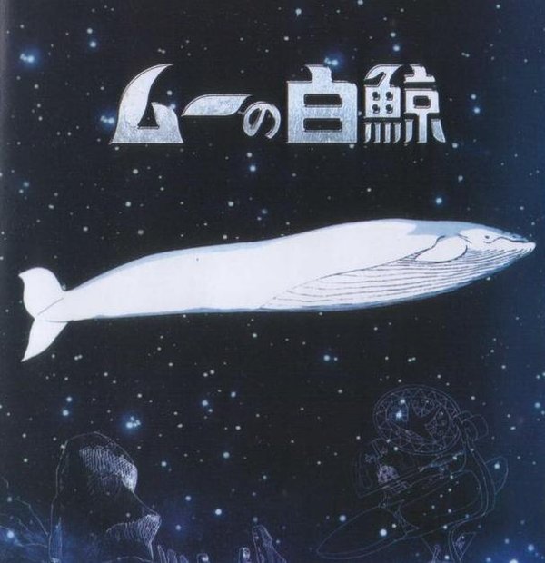 大白鲸 大白鲸