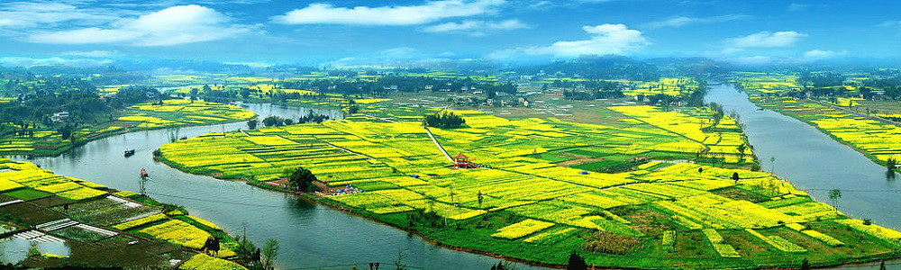 潼南油菜花景区全景图 潼南油菜花景区全景图