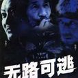 无路可逃(2010年金琛导演大陆电视剧)