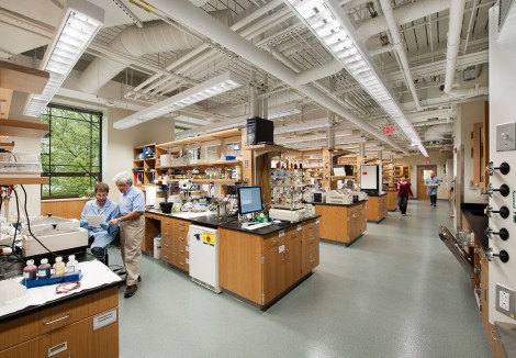 BC实验室MERKERT CHEMISTRY CENTER