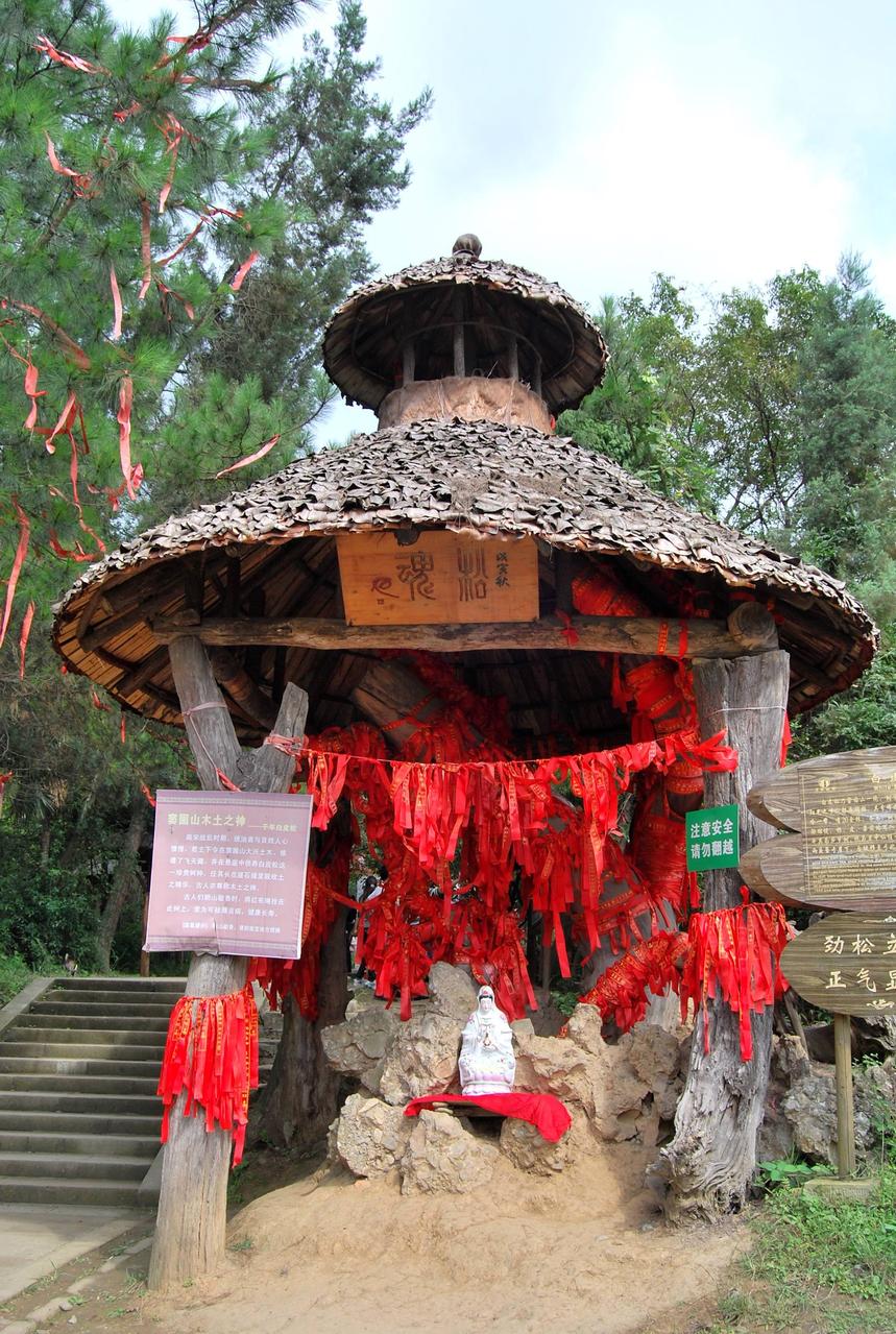 白皮松亭 白皮松亭