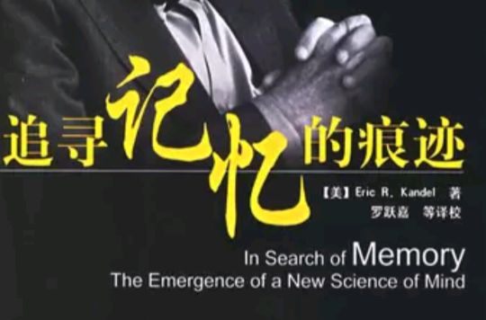 追寻记忆的痕迹(2007年版)