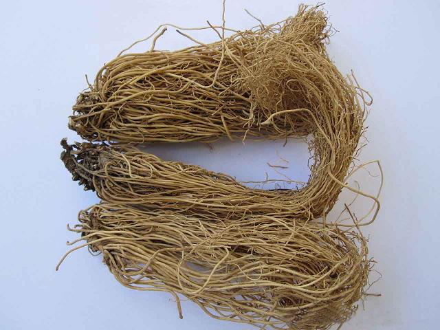 细辛(中药) 细辛(中药)
