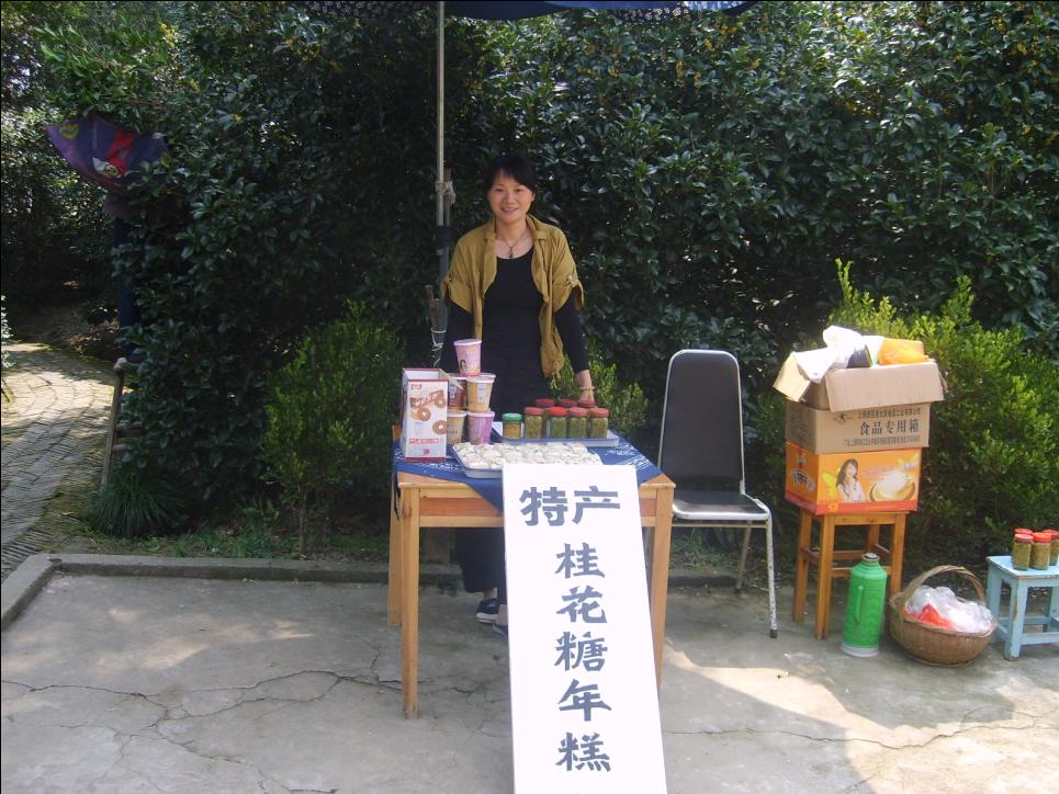 石门镇(浙江桐乡市石门镇)