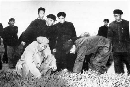 豆张庄镇 豆张庄镇