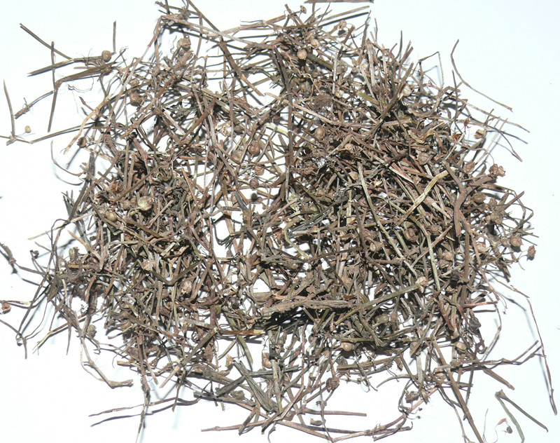 白花蛇舌草(中药)