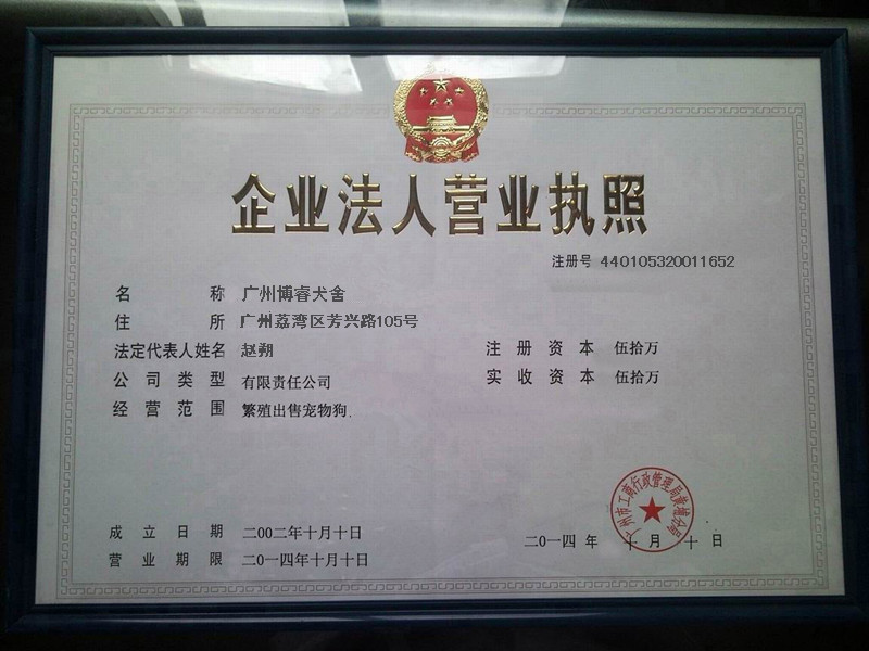 营业执照 营业执照