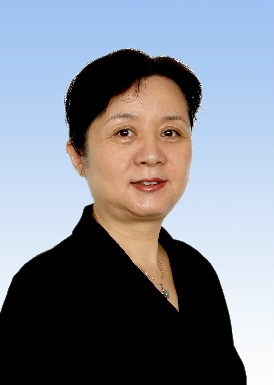 陈莉(天津理工大学副校长) 陈莉(天津理工大学副校长)