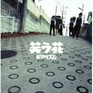 亲爱的医生