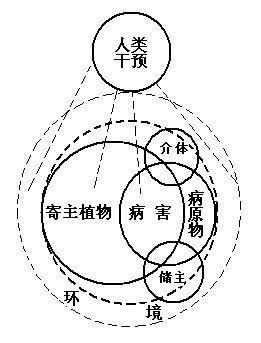 植物病害系统