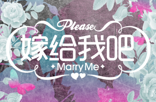 嫁给我吧(求婚节目) 嫁给我吧(求婚节目)