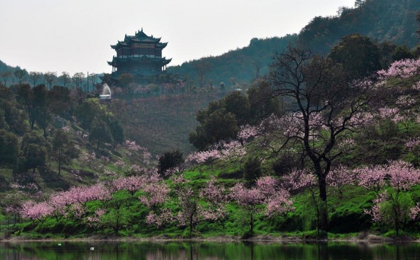萧山区