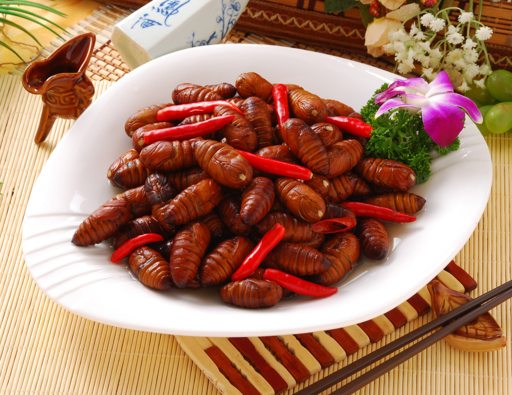 蚕蛹(蚕蛹) 蚕蛹(蚕蛹)