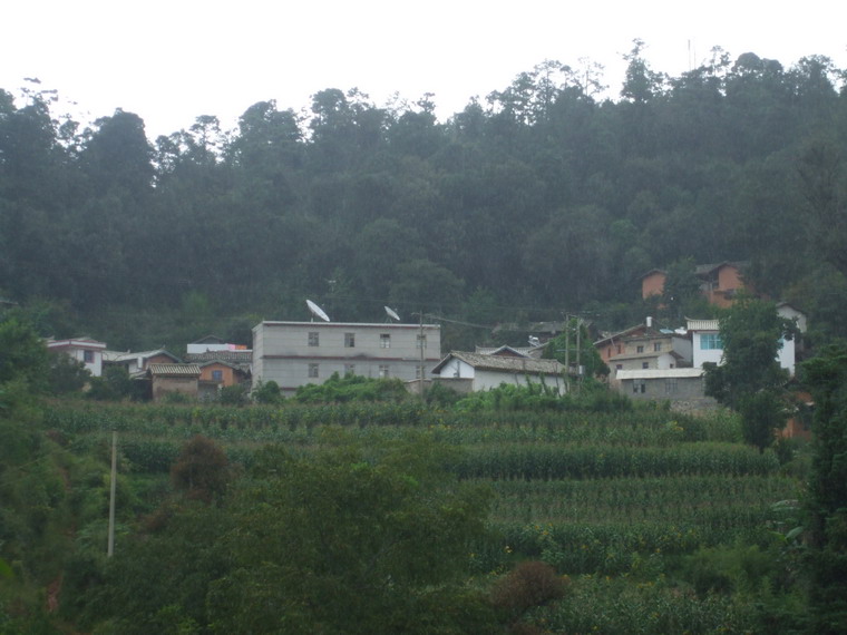 李家村(峨山县富良棚乡富良棚村民委员会下辖村) 李家村(峨山县富良棚乡富良棚村民委员会下辖村)