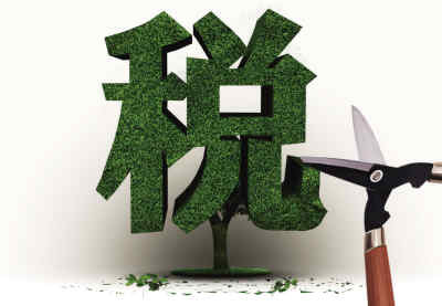 纳税 纳税
