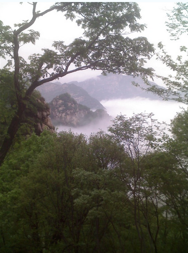 穆柯寨风景