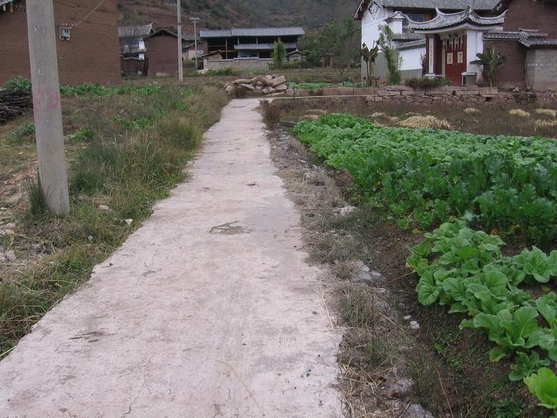 进村道路