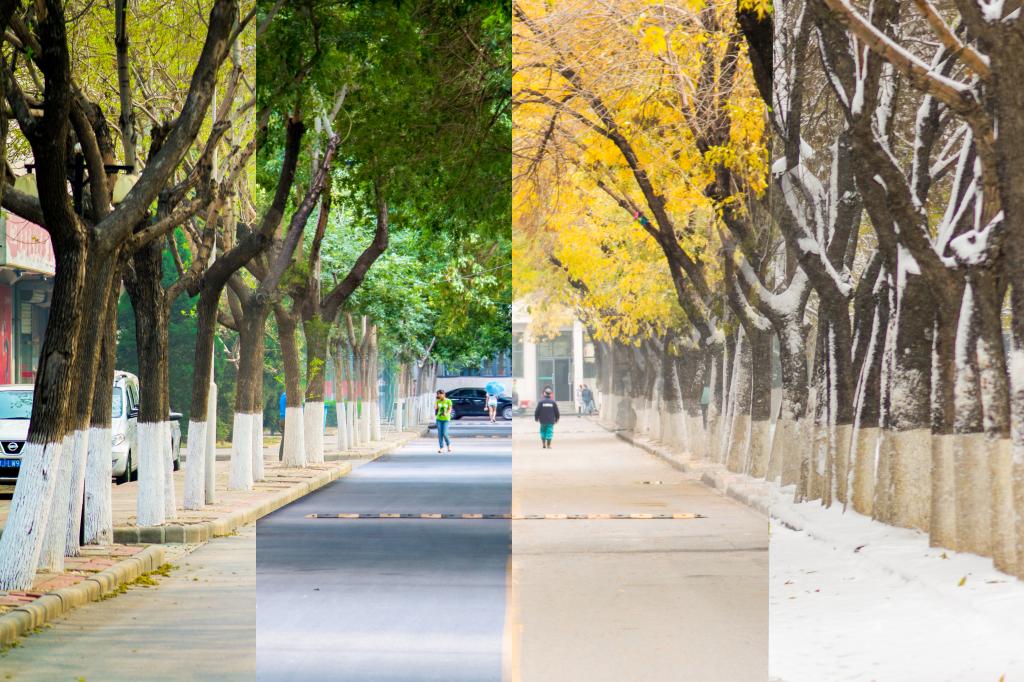 天津商业大学 天津商业大学