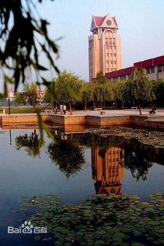 烟台大学 烟台大学