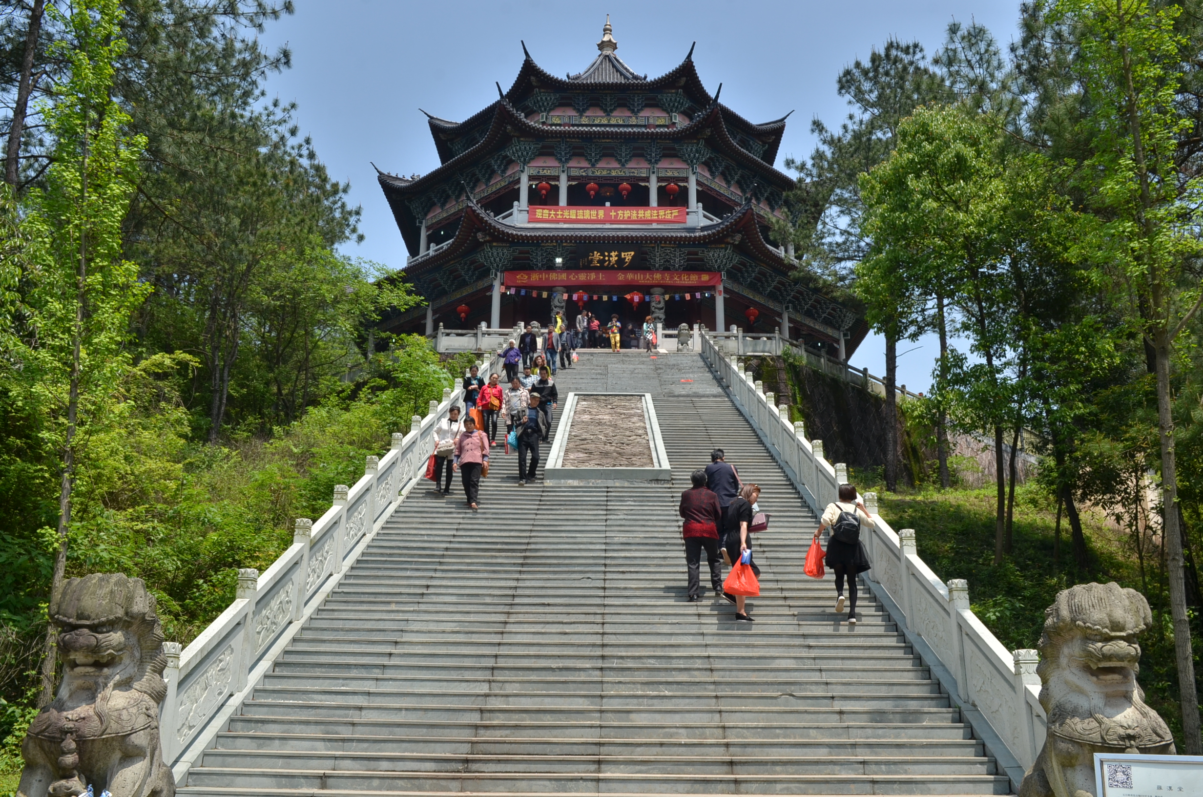 金东区