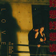好想好想谈恋爱(2004年刘心刚执导电视剧)