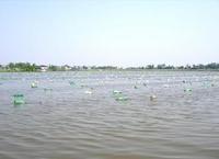 团山寺镇水库