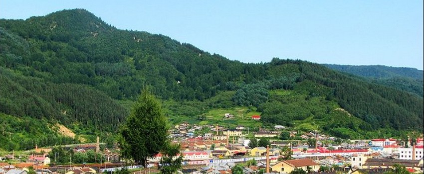 庆岭南山东丰县横道河镇地貌