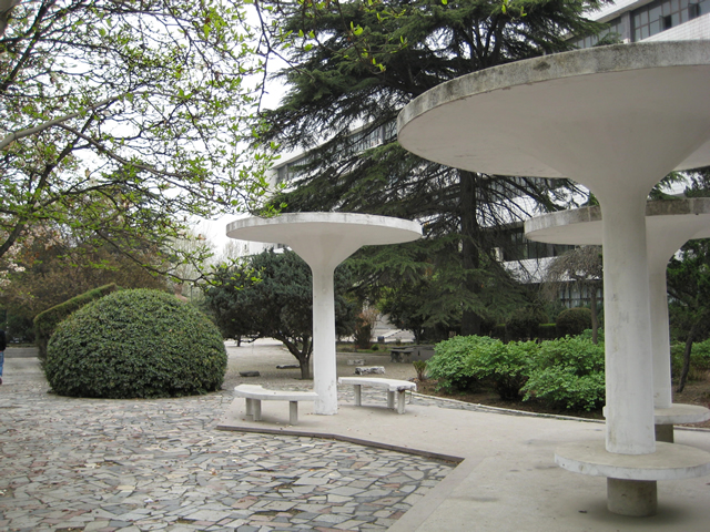 西北大学 西北大学
