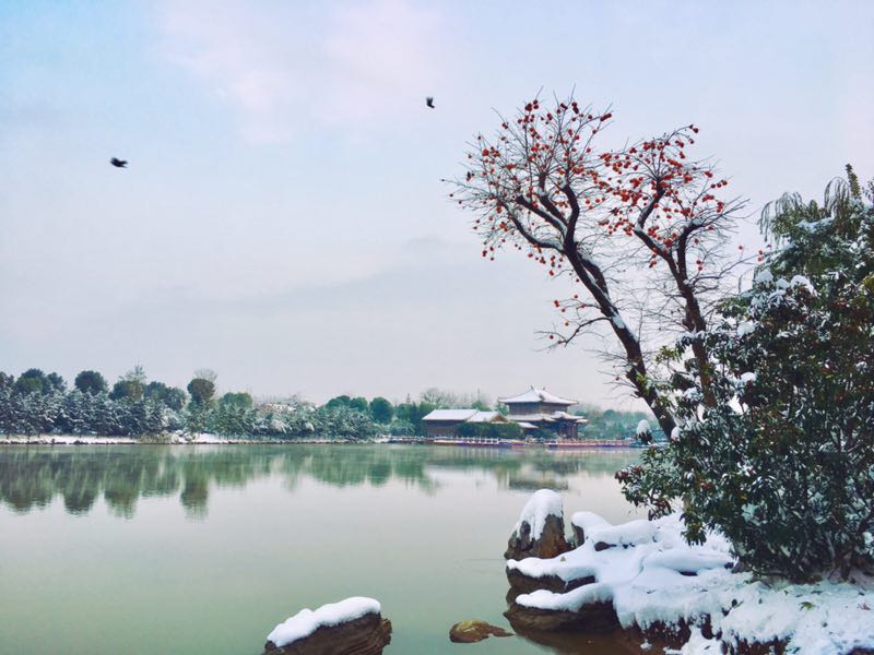 滨河雪景 滨河雪景