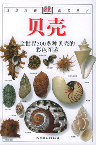 贝壳