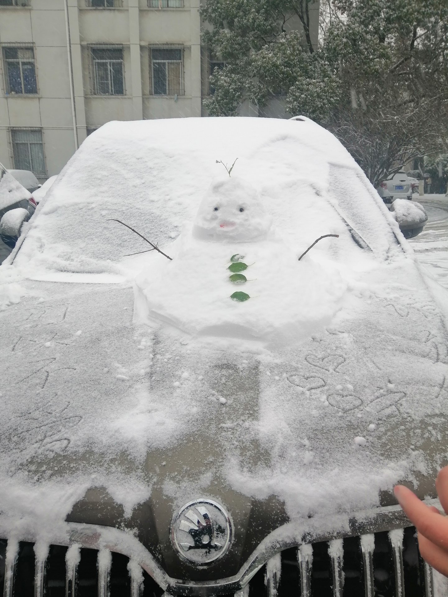 江工职院风晴雪(2018.12.30周日) 江工职院风晴雪(2018.12.30周日)