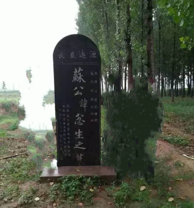 苏国(周朝诸侯国) 苏国(周朝诸侯国)