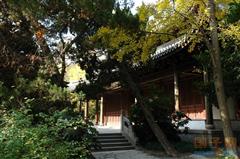 上海中山公园