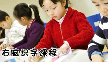 右脑人才 右脑人才