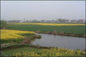北沙城乡
