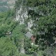 沂源县凤凰山风景区 沂源县凤凰山风景区