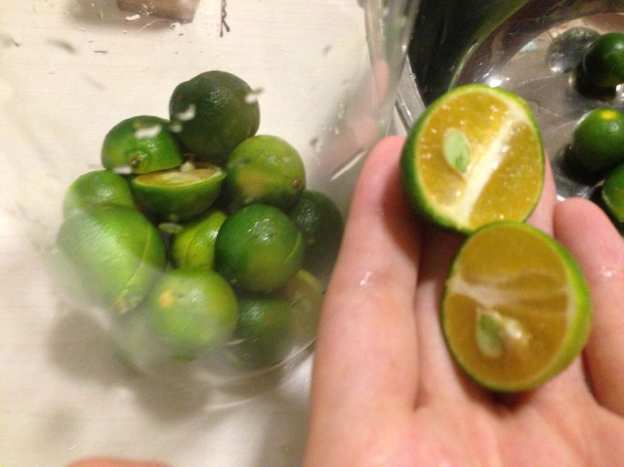 蜜渍小青柠