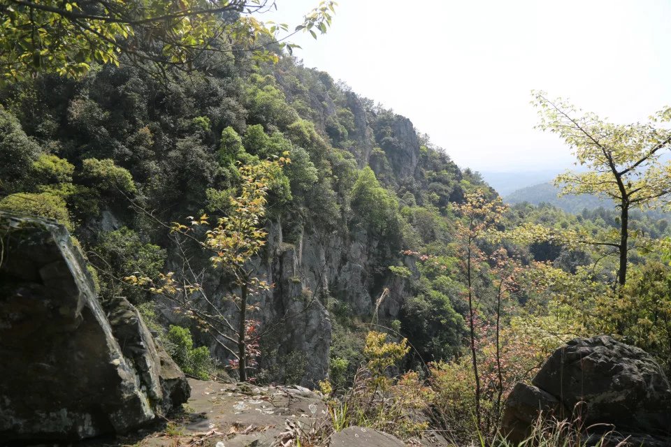 峡谷 峡谷