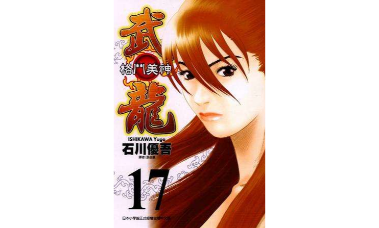 格斗美神武龙17