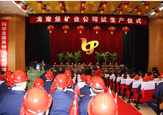 龙嘉镇