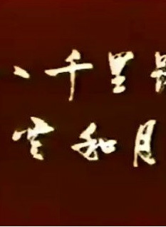 张振寰