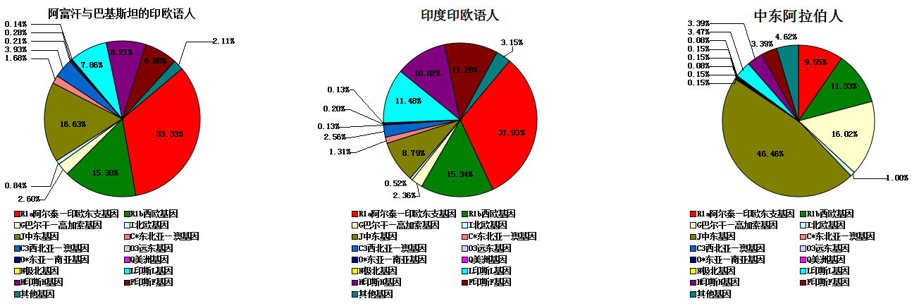 世界人种基因图谱 世界人种基因图谱