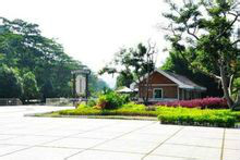 黄何乡村公园 黄何乡村公园
