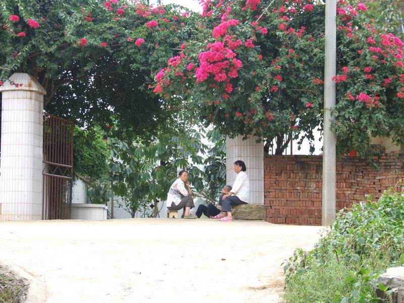 许刘营村 许刘营村