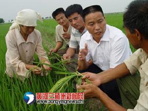 垦利镇 垦利镇