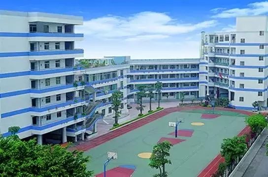 东星国小