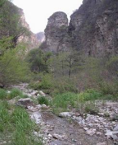 千佛山森林公园 千佛山森林公园
