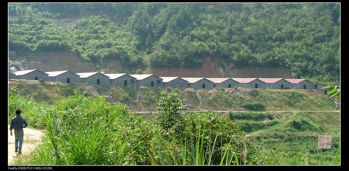 三石现代化养猪场 三石现代化养猪场