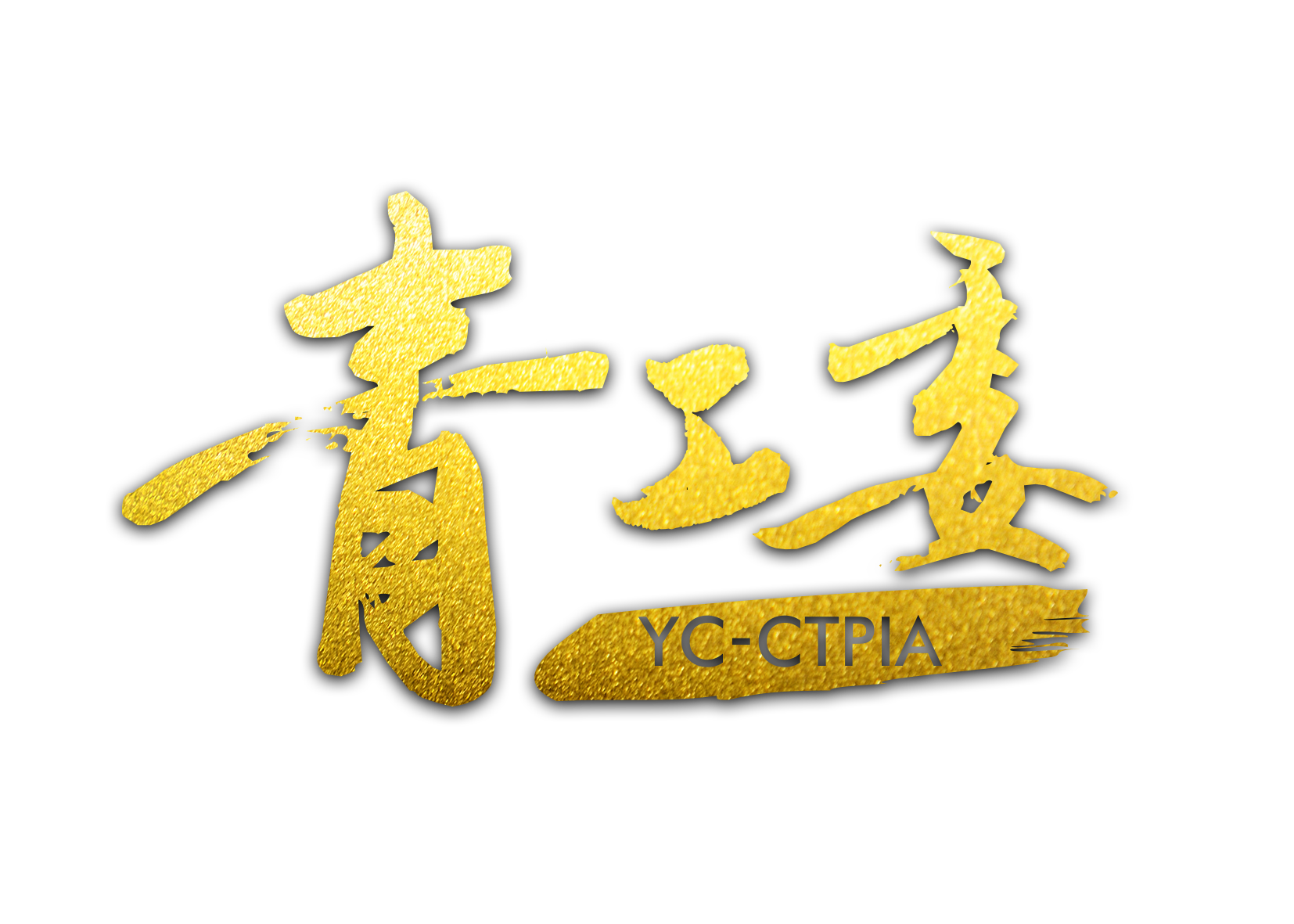 中国电视剧製作产业协会青年工作委员会